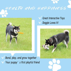 Acalgero Paw Print Kit Preview highlights keepsake opportunity for a precious moment.