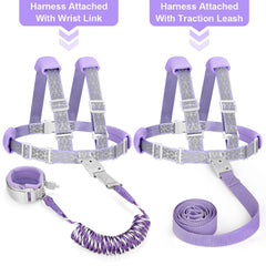 Accmor night reflective belt on harness highlights safety visibility in low light.