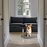 All Cheerful clear acrylic dog gate 2-panel for open-view supervision