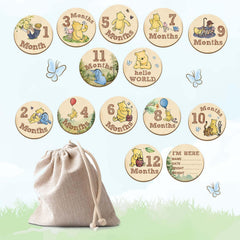 ALodr Winnie monthly announcement wooden discs for newborn portrait moments