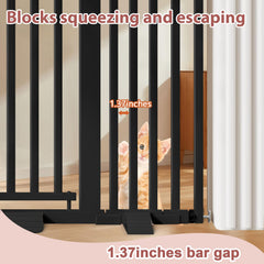 Amibud dual-swing doors offer easy access while containing pets inside