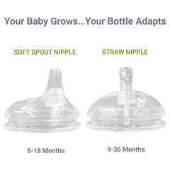 ANPEI compatibility with Comotomo bottles emphasizes easy upgrades without buying new nipples