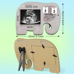 Aosemili sonogram frame acrylic panel view with vivid ultrasound photo