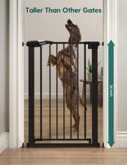 BABELIO auto-close feature demonstrated in doorway supporting smooth transitions