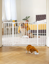 BABELIO baby gate cat-door-wide demonstrates a safe stairs barrier for kids and cats.