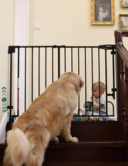 Babelio boundless gate assembly on stairs showing no bottom bar for safer passage.