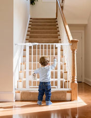 BABELIO PressGuard C5 auto-close mechanism for hands-free, secure doorway closure