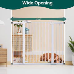 BABELIO PressGuard P7 walk-through door enables one-handed access