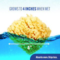 Baby Buddy hypoallergenic sponge β designed for sensitive skin during baths.