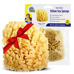 Baby Buddy yellow sea sponge 4in β gentle cleansing for newborn skin.