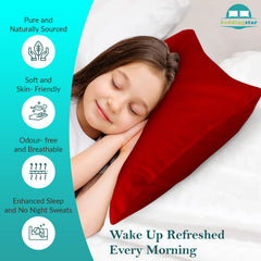 Beddingstar two-piece set in red packaging communicates ready-to-use travel comfort.