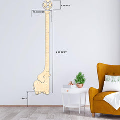 BeeGreeny wooden growth chart highlights plywood construction