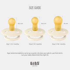 BIBS pacifiers sage packaged set demonstrates two BPA-free soothers for newborns
