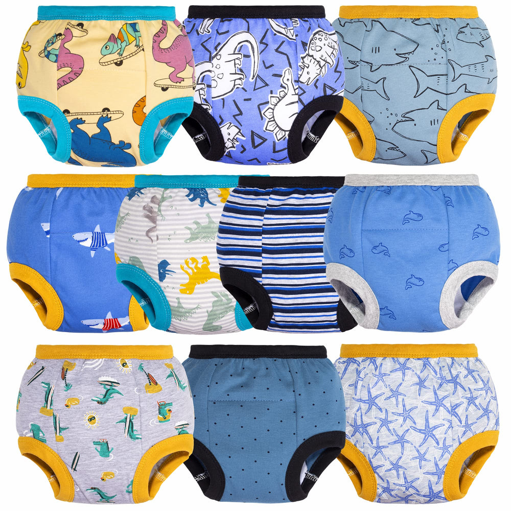Big Elephant training pants 10-pack in package support daytime toilet training readiness.