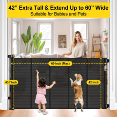 Bingguz retractable, space-saving design shown rolled up for easy access.