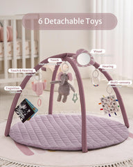 Blissful Diary Baby Play Gym Mat self-discovery mirror focuses early cognition during floor time