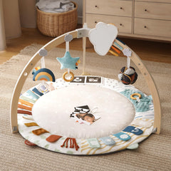 Blissful Diary Play Gym 5-zones layout highlights varied developmental areas for early learning.