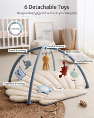 Blissful Diary Shell Play Gym arches with detachable toys for flexible setup