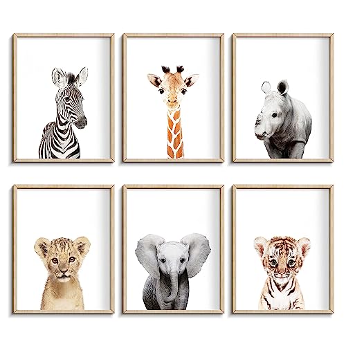 CalmArt Jungle Nursery Wall Art prints set featuring safari animals for baby's room and imaginative play