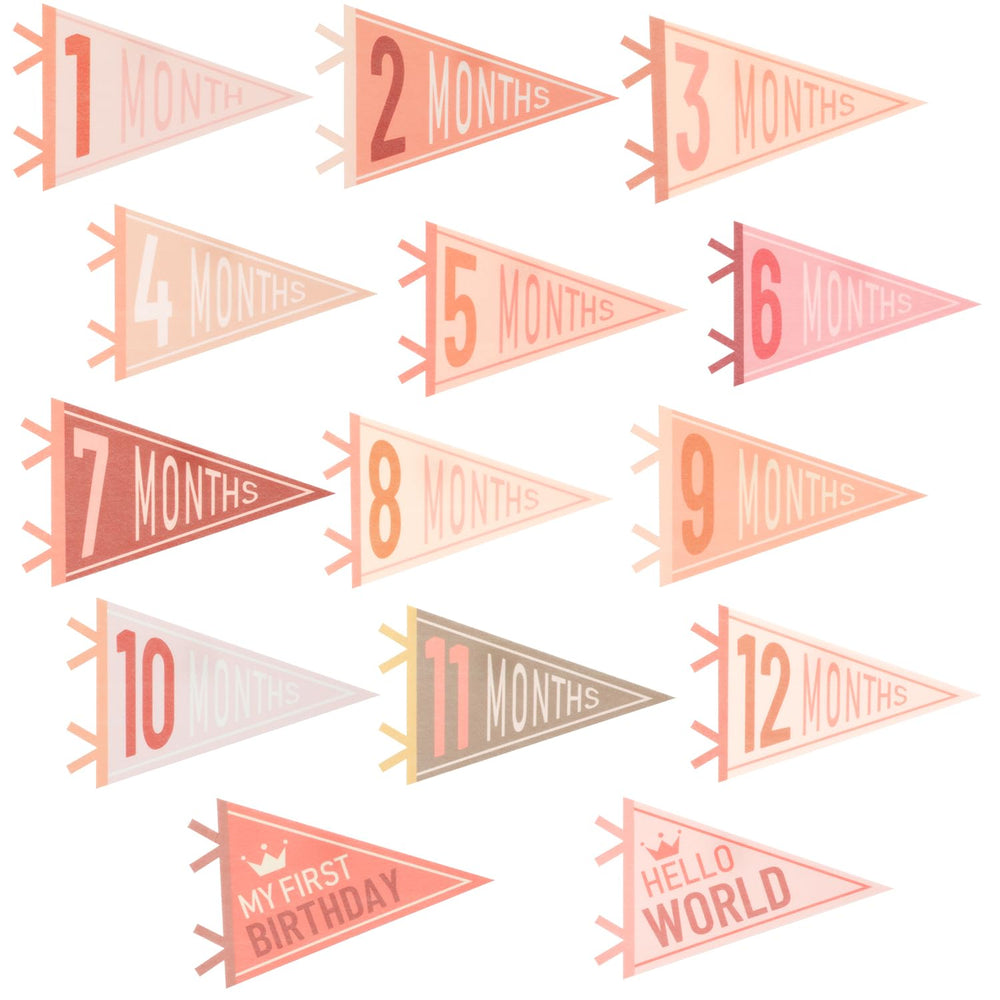 Cecliy baby monthly pennants showcase 12 month flags in bright colors for milestone photos.