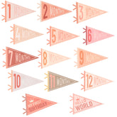 Cecliy baby monthly pennants showcase 12 month flags in bright colors for milestone photos.
