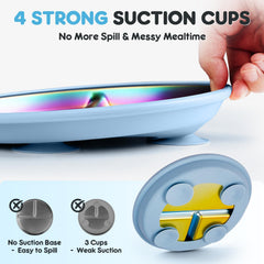 Coinicxcel four suction cups prevent plate sliding during feeding
