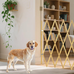 Costyle wooden dog gate in doorway showcases sturdy, space-saving design for homes.