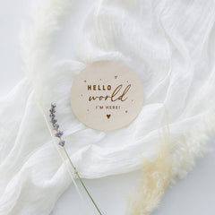 The Cotton and Canvas Co. newborn disc photo prop shot β ideal for baby announcements.