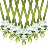 Coume sage-green pacifier necklace closeup — lightweight wearable favor.