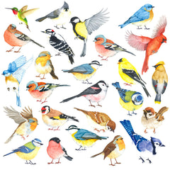 Decowall DS4-8063 little birds on a tree branch brighten nurseries and playrooms.