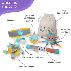 Dingle Dangle Deluxe Gift Set rattle teether provides safe sensory play for tiny hands.