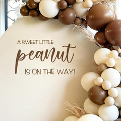 Dvehdbay Sweet Little Peanut first birthday sign brightens girl's party backdrop.