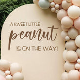 Dvehdbay Sweet Little Peanut sign backdrop for festive first birthday portraits.