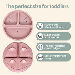 Eascrozn plate compartments help visualize portions during meals.