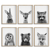 EPHANY black and white baby animal posters for nursery decor and calming walls