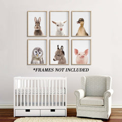 EPHANY Owl prints—calming woodland vibes for bedtime corners