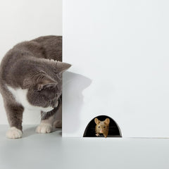 Fanshuge 3D mouse hole wall decal set 02 enhances nurseries with imaginative decor.