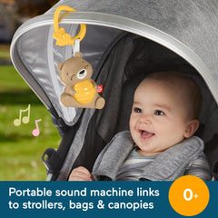 Fisher-Price Beary demonstrates 30/60-minute timer for flexible soothing sessions.