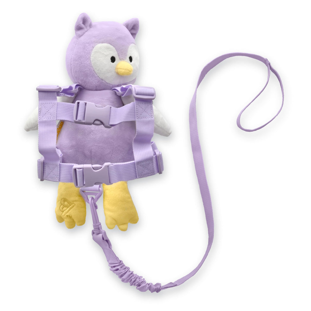 GoldBug Owl harness close-up shows secure fit for calmer outings.