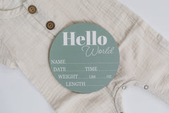 Hickory Hollow Designs hello world nursery sign sage stylish decor for the nursery