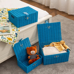 Homepeaz basket with built-in carry handles for easy transport.