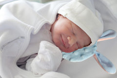Josuyofo Scent Bonding Rabbit two-pack set for caregiver proximity and baby bonding.