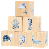 Kigley ocean watercolor dolphins square decor enhances nursery shelf styling.