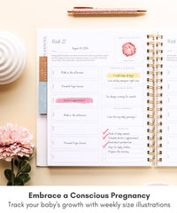 Lamare pregnancy journal ultrasound slot preserves early scan memories alongside notes.