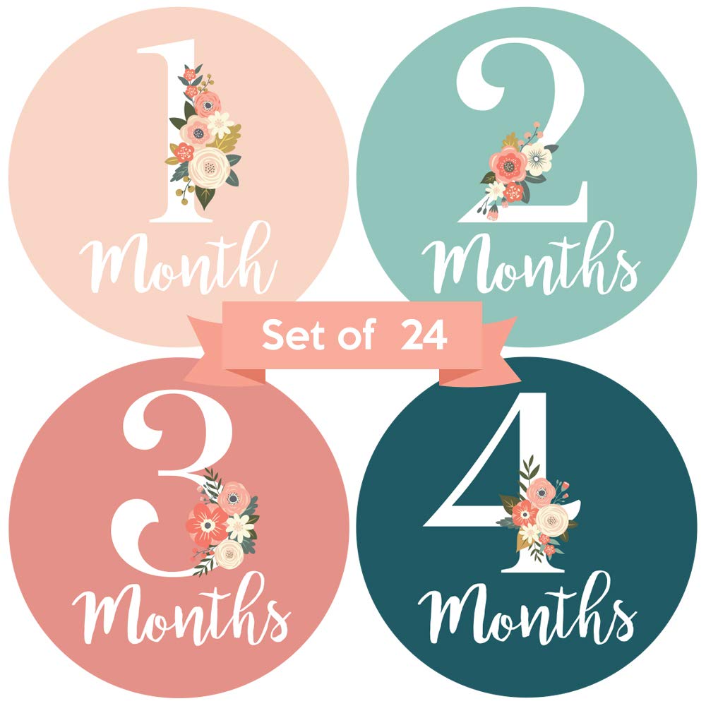 Little Moments baby monthly stickers pink-teal florals for adorable milestone photos.