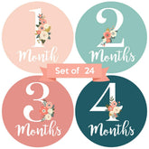 Little Moments baby monthly stickers pink-teal florals for adorable milestone photos.