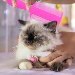 Lusofie 6Pcs pet flea comb white showing double-sided teeth for detangling and fine grooming.