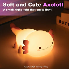 Magical JD USB rechargeable night light ensures cordless bedside use