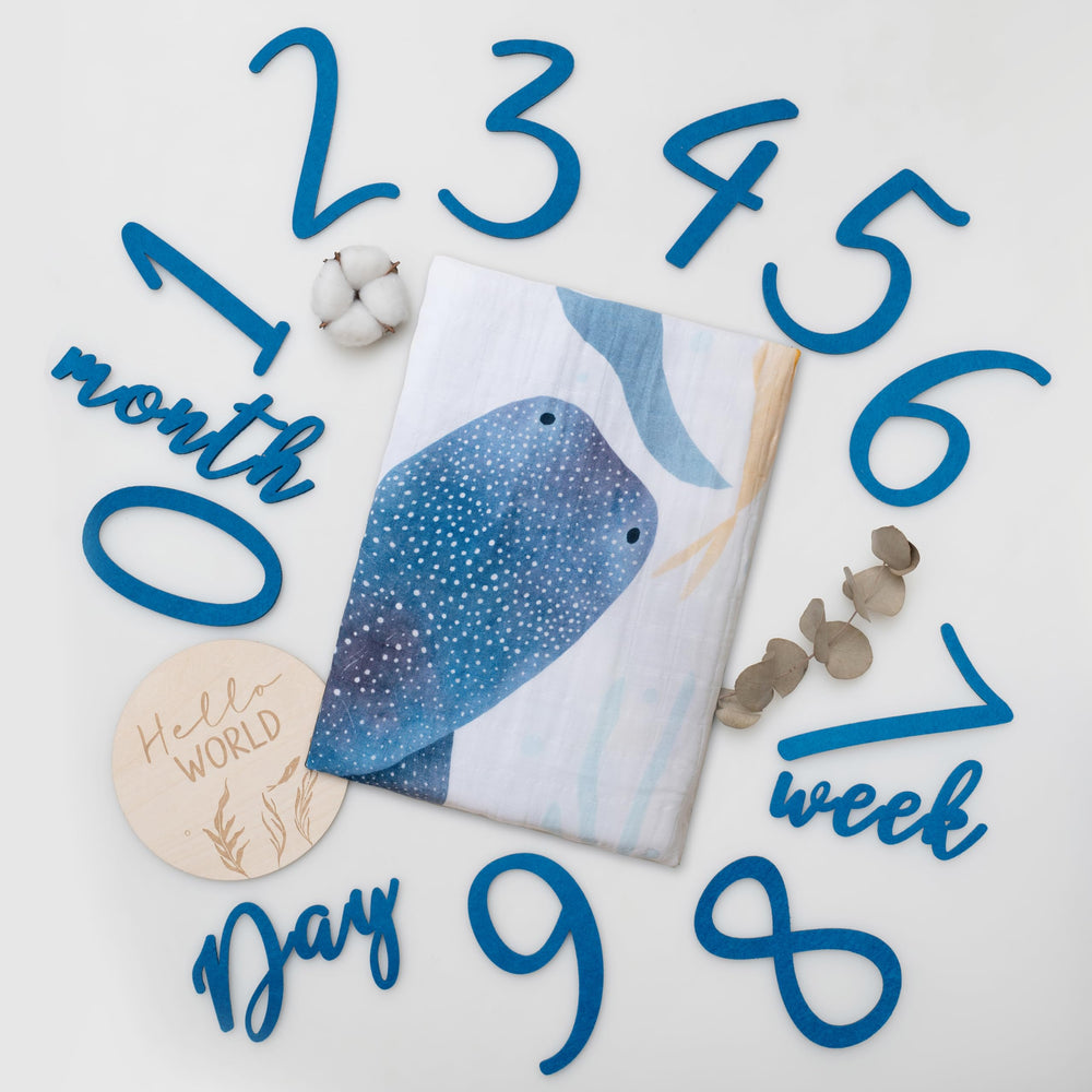 Miaoberry Ocean monthly milestone blanket captures boy’s growth during newborn photos