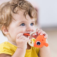 Mombella clownfish face close-up shows bright color for engaging teething play.